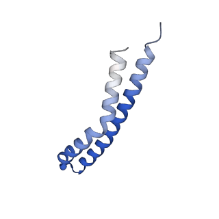 20172_6oqw_O_v1-0
E. coli ATP synthase State 3a