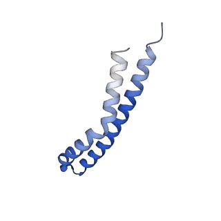 20172_6oqw_O_v1-1
E. coli ATP synthase State 3a