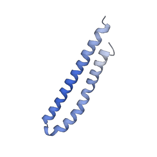 20172_6oqw_Q_v1-0
E. coli ATP synthase State 3a