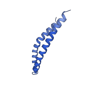 20172_6oqw_R_v1-0
E. coli ATP synthase State 3a