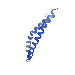 20172_6oqw_R_v1-1
E. coli ATP synthase State 3a