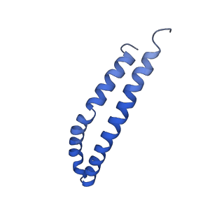 20172_6oqw_S_v1-0
E. coli ATP synthase State 3a