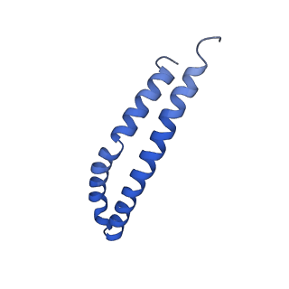 20172_6oqw_S_v1-1
E. coli ATP synthase State 3a