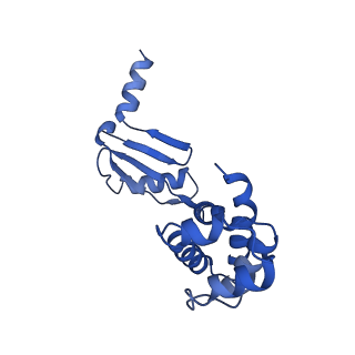 20172_6oqw_W_v1-0
E. coli ATP synthase State 3a