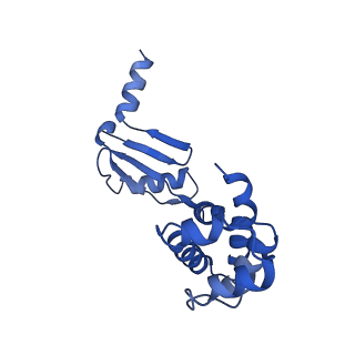 20172_6oqw_W_v1-1
E. coli ATP synthase State 3a