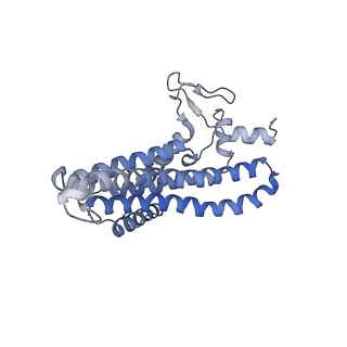 20172_6oqw_a_v1-0
E. coli ATP synthase State 3a