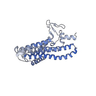 20172_6oqw_a_v1-1
E. coli ATP synthase State 3a