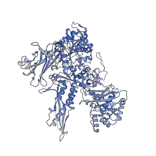 3846_5oqj_B_v1-0
STRUCTURE OF YEAST TRANSCRIPTION PRE-INITIATION COMPLEX WITH TFIIH