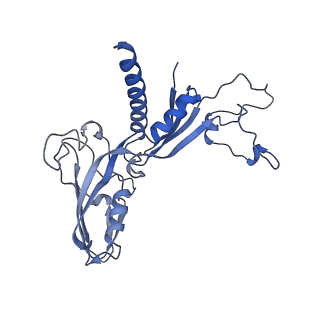 3846_5oqj_C_v1-0
STRUCTURE OF YEAST TRANSCRIPTION PRE-INITIATION COMPLEX WITH TFIIH