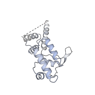 3846_5oqj_D_v1-0
STRUCTURE OF YEAST TRANSCRIPTION PRE-INITIATION COMPLEX WITH TFIIH