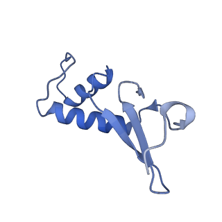 3846_5oqj_F_v1-0
STRUCTURE OF YEAST TRANSCRIPTION PRE-INITIATION COMPLEX WITH TFIIH