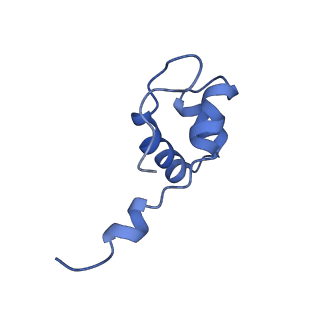 3846_5oqj_J_v1-0
STRUCTURE OF YEAST TRANSCRIPTION PRE-INITIATION COMPLEX WITH TFIIH