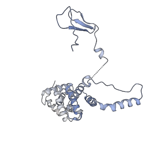3846_5oqj_M_v1-0
STRUCTURE OF YEAST TRANSCRIPTION PRE-INITIATION COMPLEX WITH TFIIH