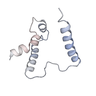 3847_5oql_0_v1-3
Cryo-EM structure of the 90S pre-ribosome from Chaetomium thermophilum