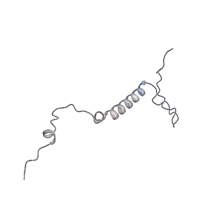 3847_5oql_C_v1-3
Cryo-EM structure of the 90S pre-ribosome from Chaetomium thermophilum