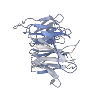 3847_5oql_D_v1-3
Cryo-EM structure of the 90S pre-ribosome from Chaetomium thermophilum