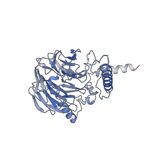 3847_5oql_F_v1-3
Cryo-EM structure of the 90S pre-ribosome from Chaetomium thermophilum