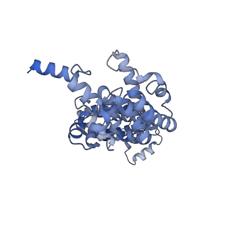 3847_5oql_G_v1-3
Cryo-EM structure of the 90S pre-ribosome from Chaetomium thermophilum