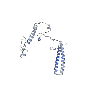 3847_5oql_H_v1-3
Cryo-EM structure of the 90S pre-ribosome from Chaetomium thermophilum