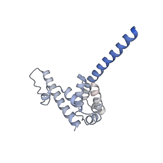 3847_5oql_I_v1-3
Cryo-EM structure of the 90S pre-ribosome from Chaetomium thermophilum