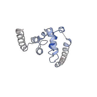 3847_5oql_J_v1-3
Cryo-EM structure of the 90S pre-ribosome from Chaetomium thermophilum