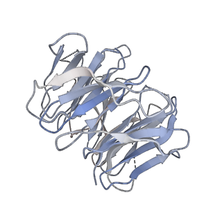 3847_5oql_L_v1-3
Cryo-EM structure of the 90S pre-ribosome from Chaetomium thermophilum