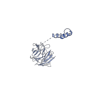 3847_5oql_M_v1-3
Cryo-EM structure of the 90S pre-ribosome from Chaetomium thermophilum