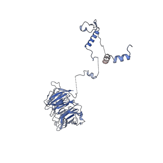 3847_5oql_N_v1-3
Cryo-EM structure of the 90S pre-ribosome from Chaetomium thermophilum