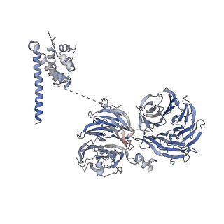 3847_5oql_O_v1-3
Cryo-EM structure of the 90S pre-ribosome from Chaetomium thermophilum