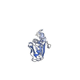 3847_5oql_P_v1-3
Cryo-EM structure of the 90S pre-ribosome from Chaetomium thermophilum