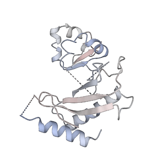 3847_5oql_Q_v1-3
Cryo-EM structure of the 90S pre-ribosome from Chaetomium thermophilum