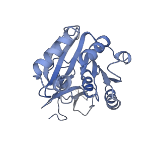 3847_5oql_R_v1-3
Cryo-EM structure of the 90S pre-ribosome from Chaetomium thermophilum