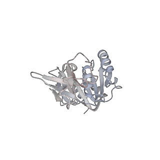 3847_5oql_S_v1-3
Cryo-EM structure of the 90S pre-ribosome from Chaetomium thermophilum
