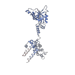 3847_5oql_T_v1-3
Cryo-EM structure of the 90S pre-ribosome from Chaetomium thermophilum