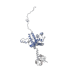 3847_5oql_U_v1-3
Cryo-EM structure of the 90S pre-ribosome from Chaetomium thermophilum