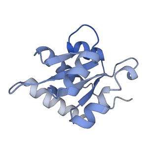 3847_5oql_V_v1-3
Cryo-EM structure of the 90S pre-ribosome from Chaetomium thermophilum