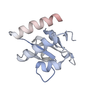 3847_5oql_W_v1-3
Cryo-EM structure of the 90S pre-ribosome from Chaetomium thermophilum