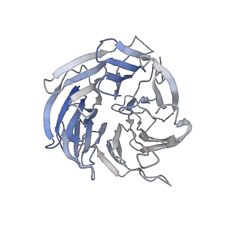 3847_5oql_X_v1-3
Cryo-EM structure of the 90S pre-ribosome from Chaetomium thermophilum