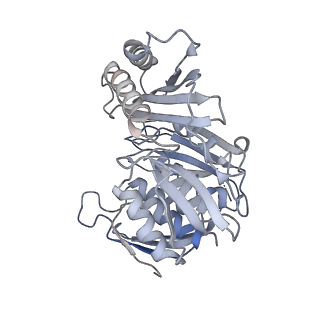 3847_5oql_Y_v1-3
Cryo-EM structure of the 90S pre-ribosome from Chaetomium thermophilum
