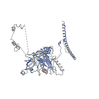 3847_5oql_Z_v1-3
Cryo-EM structure of the 90S pre-ribosome from Chaetomium thermophilum