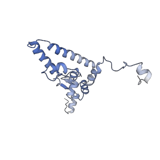 3847_5oql_a_v1-3
Cryo-EM structure of the 90S pre-ribosome from Chaetomium thermophilum