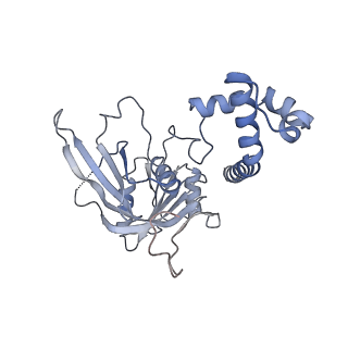 3847_5oql_b_v1-3
Cryo-EM structure of the 90S pre-ribosome from Chaetomium thermophilum