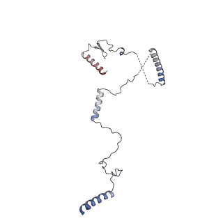 3847_5oql_c_v1-3
Cryo-EM structure of the 90S pre-ribosome from Chaetomium thermophilum