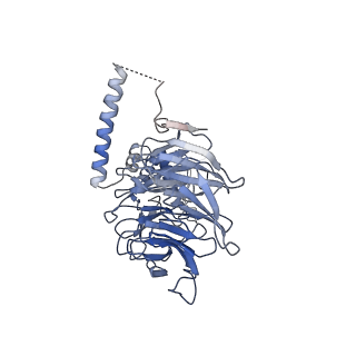 3847_5oql_d_v1-3
Cryo-EM structure of the 90S pre-ribosome from Chaetomium thermophilum