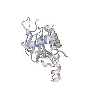 3847_5oql_f_v1-3
Cryo-EM structure of the 90S pre-ribosome from Chaetomium thermophilum