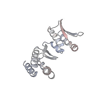 3847_5oql_g_v1-3
Cryo-EM structure of the 90S pre-ribosome from Chaetomium thermophilum