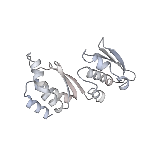 3847_5oql_h_v1-3
Cryo-EM structure of the 90S pre-ribosome from Chaetomium thermophilum