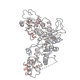 3847_5oql_j_v1-3
Cryo-EM structure of the 90S pre-ribosome from Chaetomium thermophilum