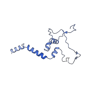 3847_5oql_k_v1-3
Cryo-EM structure of the 90S pre-ribosome from Chaetomium thermophilum
