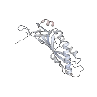 3847_5oql_l_v1-3
Cryo-EM structure of the 90S pre-ribosome from Chaetomium thermophilum